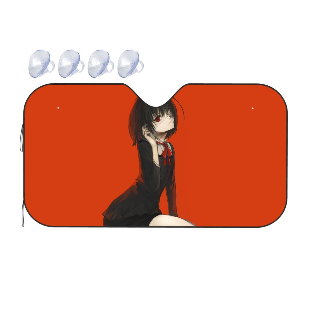 Another  Car Sunshade