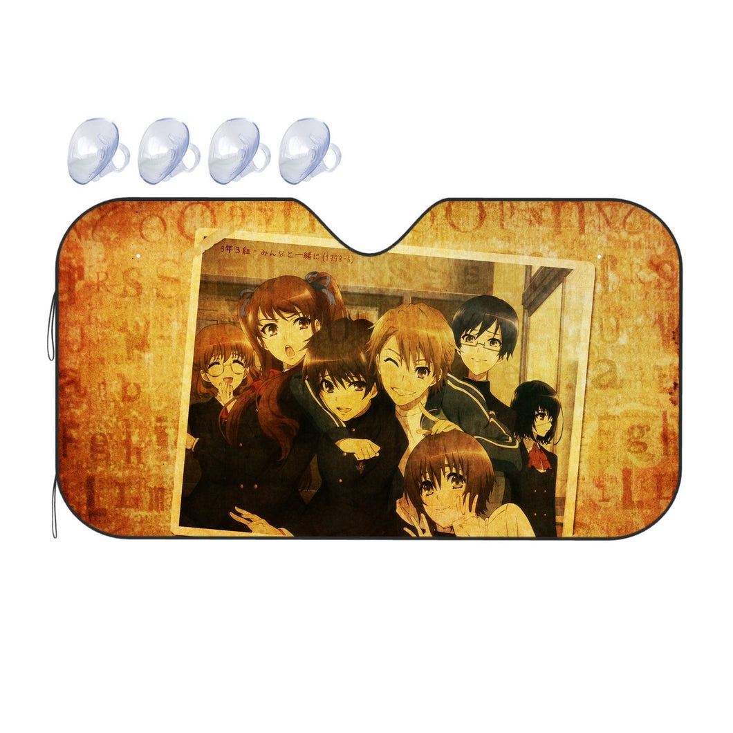 Another  Car Sunshade