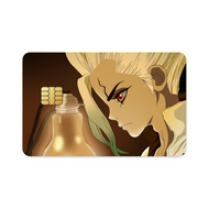 Dr. Stone  Credit Card Skins (4-in-1 Pack)