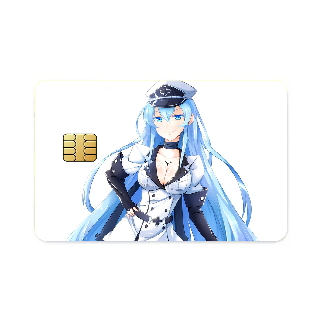 Esdeath Credit Card Skins (4-in-1 Pack)