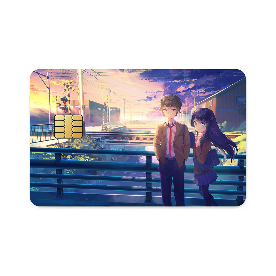 Friendly walk  Credit Card Skins (4-in-1 Pack)