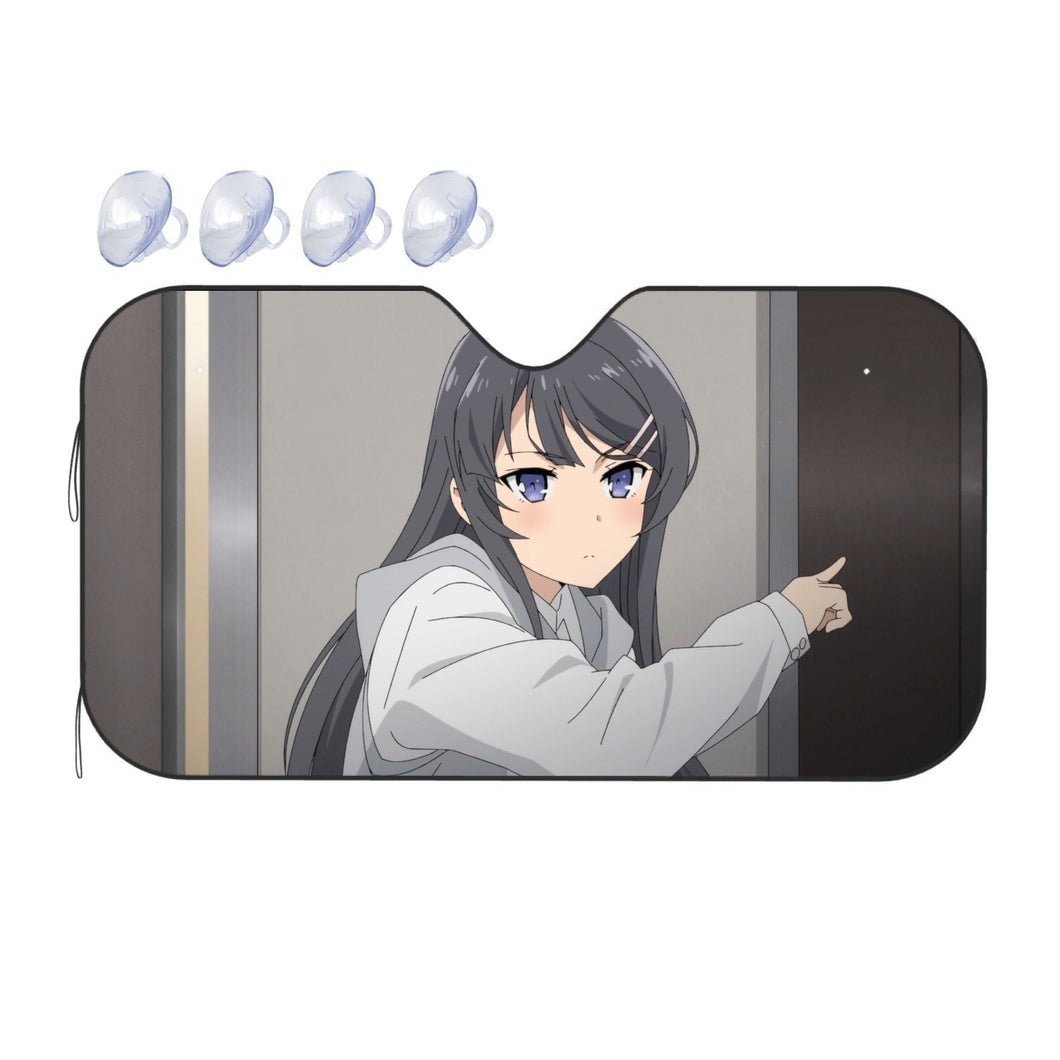 Get Out !!  Car Sunshade