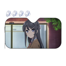 Load image into Gallery viewer, I&#39;m happy to see you  Car Sunshade
