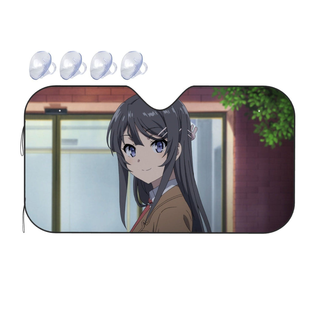 I'm happy to see you  Car Sunshade