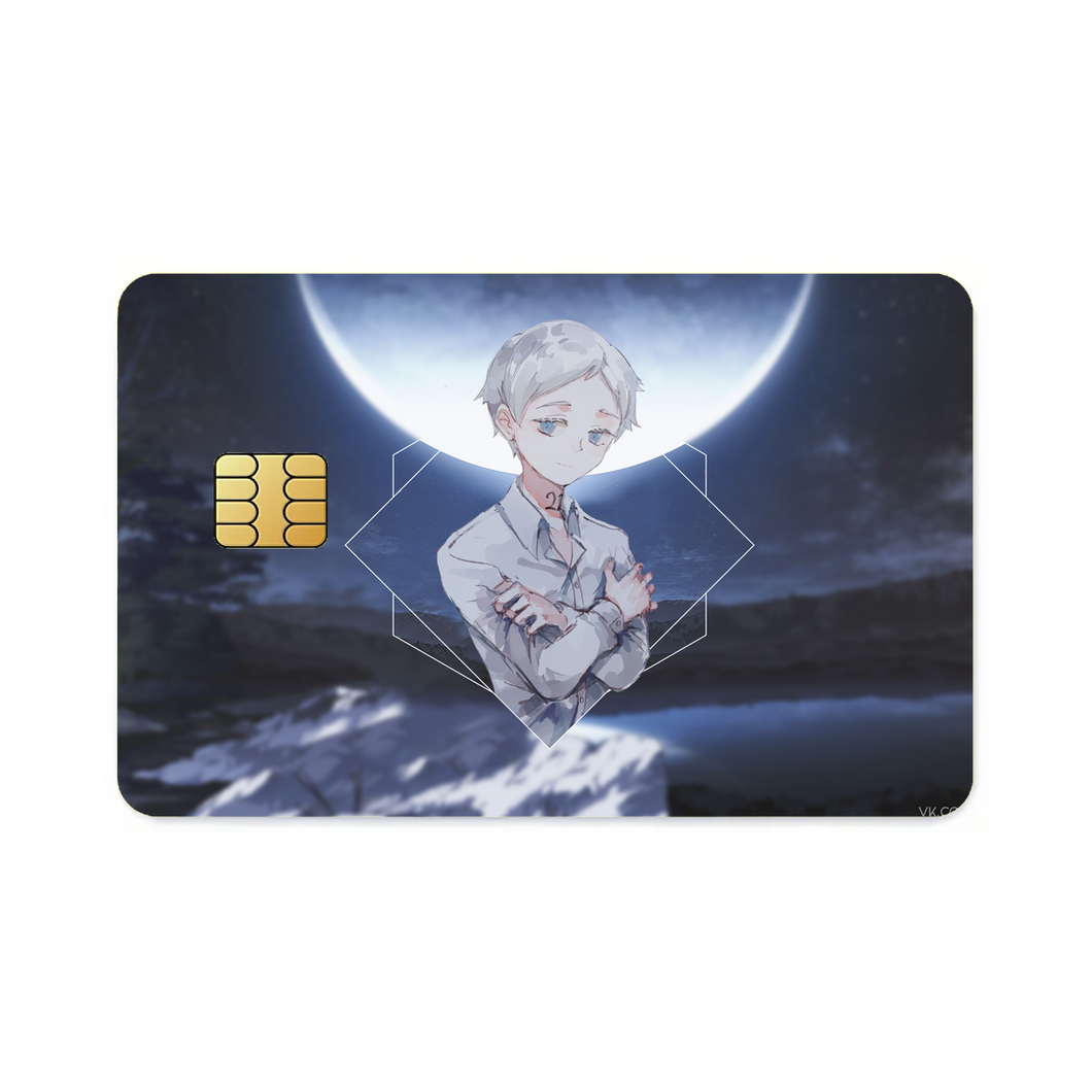 Norman Credit Card Skins (4-in-1 Pack)