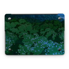 Load image into Gallery viewer, Princess Mononoke  Macbook Skin
