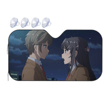 Load image into Gallery viewer, Take Care of Her  Car Sunshade
