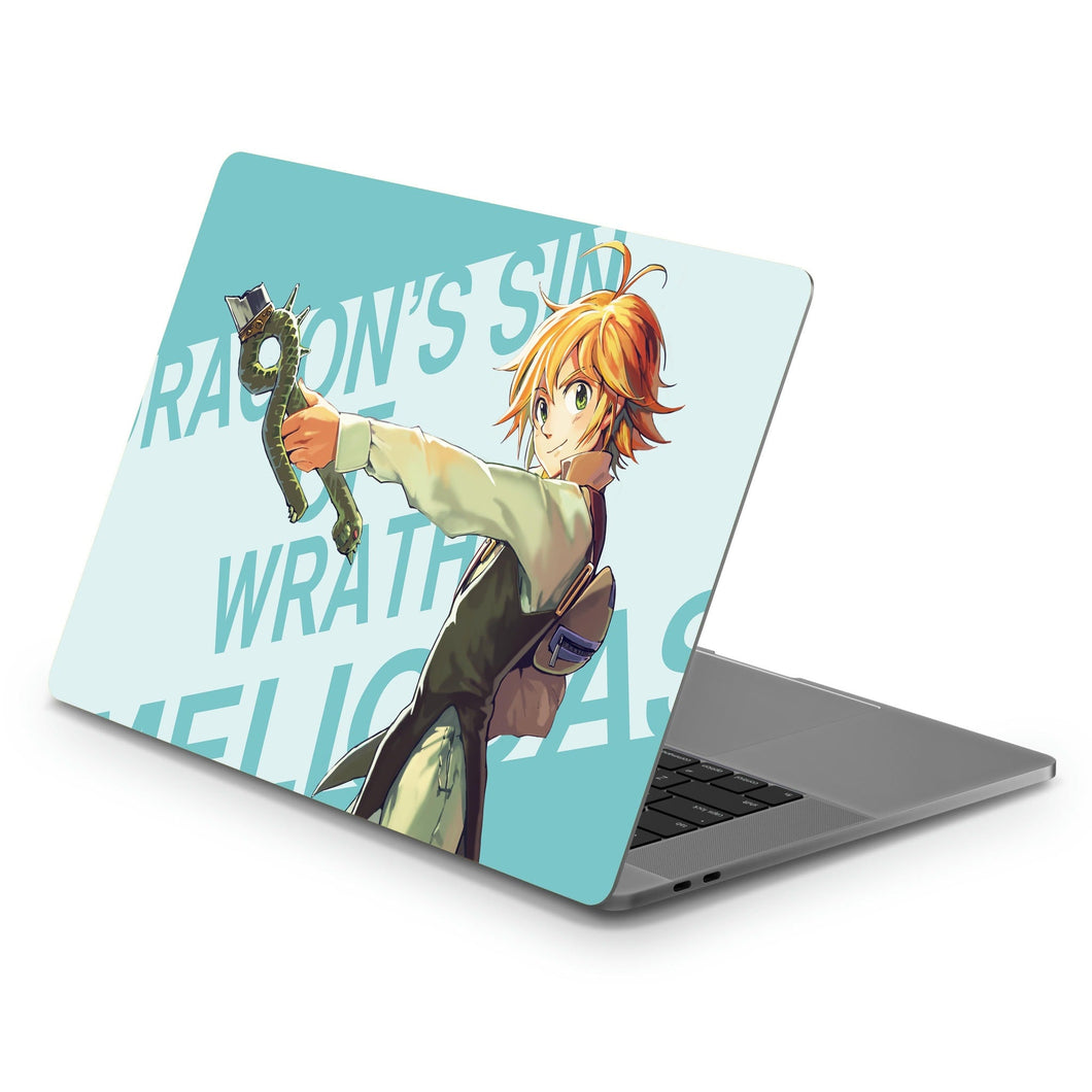 The Seven Deadly Sins  Macbook Skin