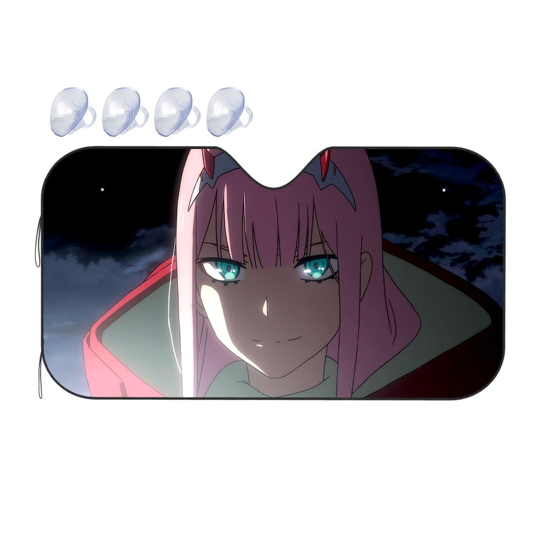 Yeah.  Car Sunshade