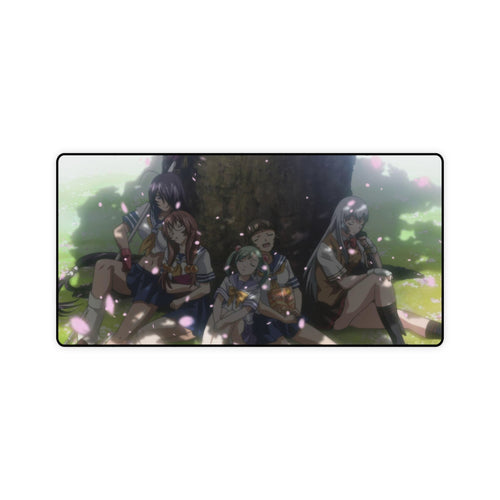 Ikki Tousen Mouse Pad (Desk Mat)