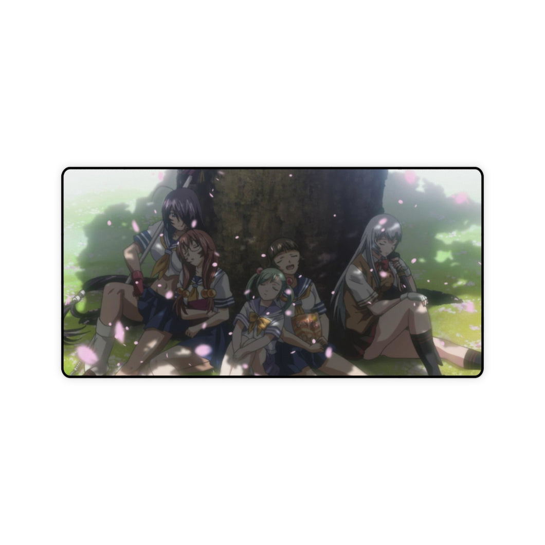 Ikki Tousen Mouse Pad (Desk Mat)