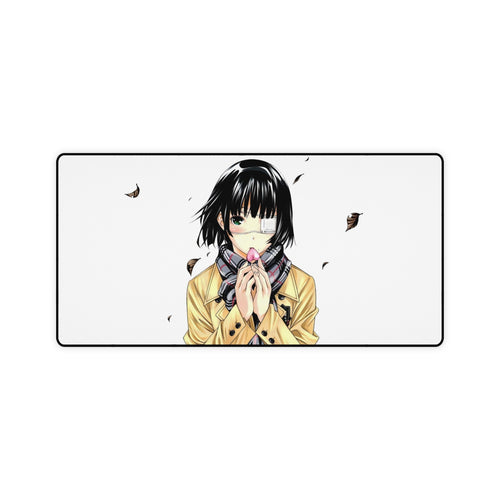 Ikki Tousen Mouse Pad (Desk Mat)